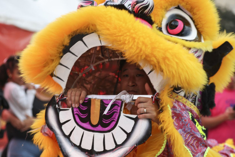 Çin yeni yılını böyle kutladı: Çin hangi yılda? - Resim: 4