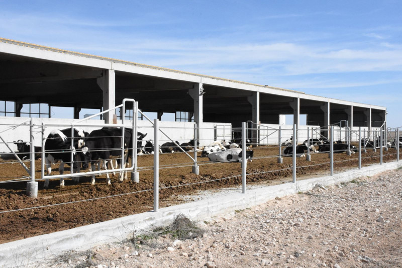 Aksaray'da devletten 3.2 milyon TL'lik hibe alarak kurdu! Şimdi 33 bin TL maaşla çalışacak işçi bulamıyor - Resim: 8