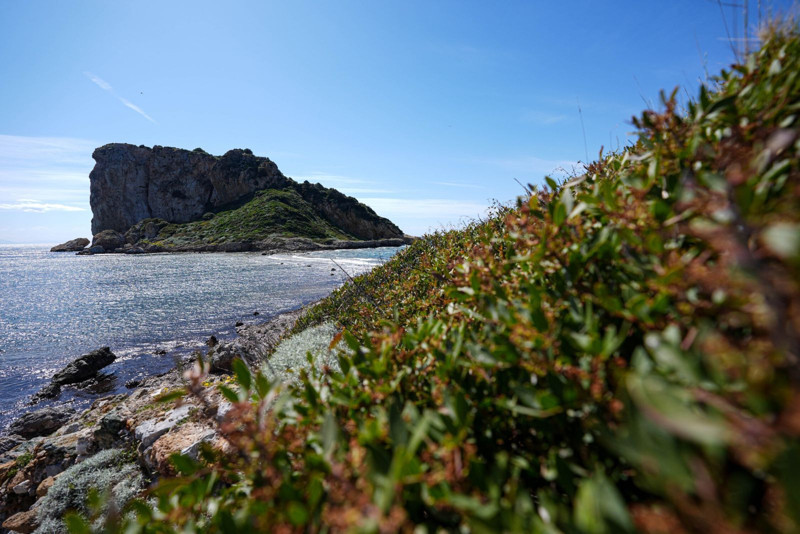 İzmir'in yürüyerek ulaşılabilen cenneti: Çıfıt adası - Resim: 6