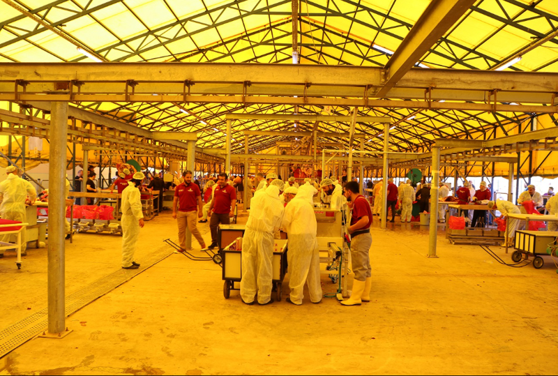 İstanbul'da nerelerde kurban kesilecek? İşte ilçe ilçe kesim alanları - Resim: 3