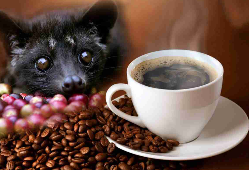 Bir lokması bile binlerce dolara satılıyor: İşte dünyanın en pahalı 7 yiyeceği! - Resim: 5