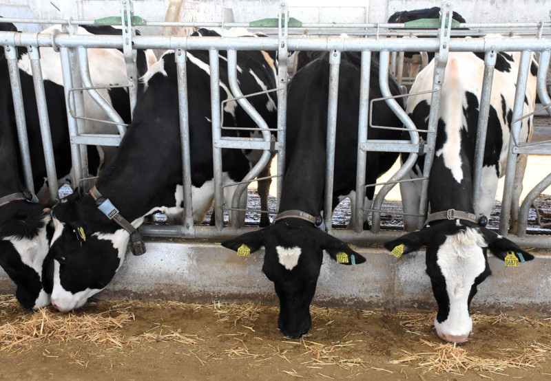 Aksaray'da devletten 3.2 milyon TL'lik hibe alarak kurdu! Şimdi 33 bin TL maaşla çalışacak işçi bulamıyor - Resim: 9