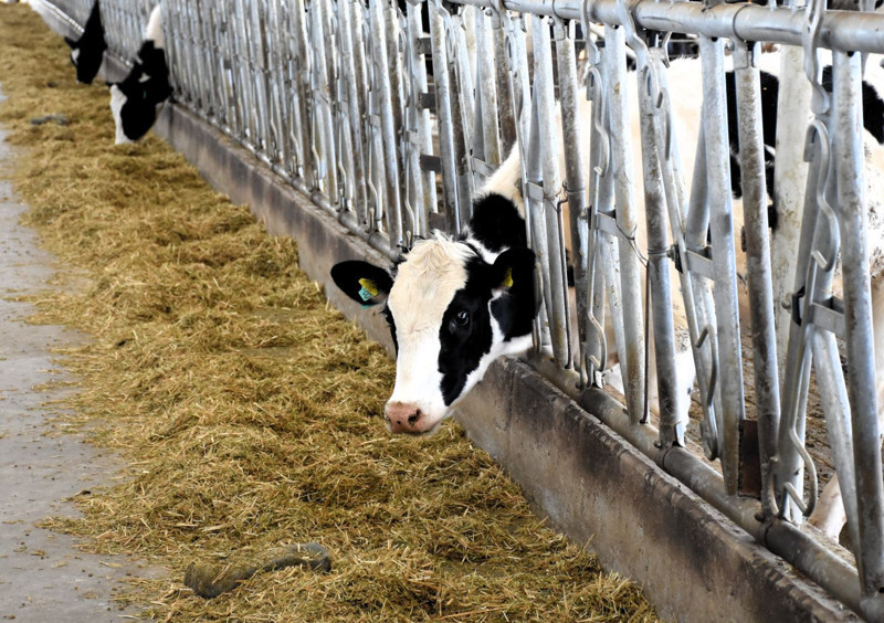 Aksaray'da devletten 3.2 milyon TL'lik hibe alarak kurdu! Şimdi 33 bin TL maaşla çalışacak işçi bulamıyor - Resim: 4