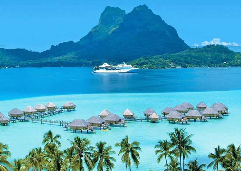 Bu ülkelerde hiç yılan yok! İşte hiç yılan olmayan ülkeler... - Resim: 10