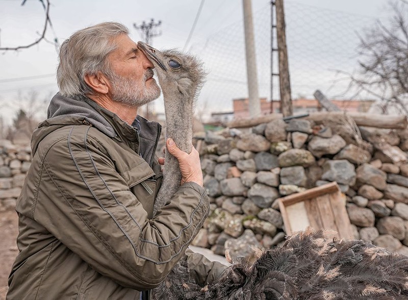 Kalpleri ısıtan dostluk… Tel örgüleri yırtıp kaçtı, onu büyüten adama geri döndü! Diyarbakır’ın Sur ilçesinden Yenişehir’e…. - Resim: 1