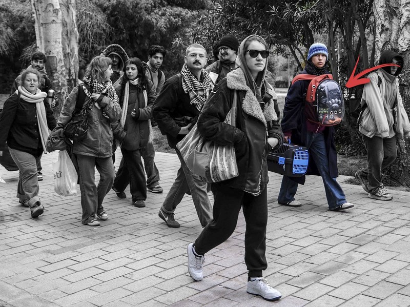 İstanbul depreminden sonra en çok alınan ürünler belli oldu! İşte deprem sonrası en çok satılanlar - Resim: 2