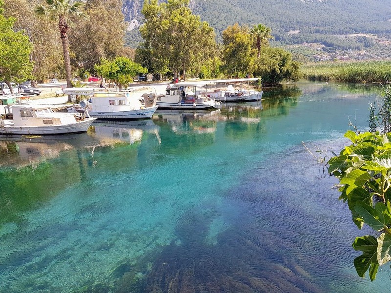 Muğla'da hangi ilden kaç kişi yaşıyor? İşte il il Muğla’da yaşayan vatandaşların kökenleri! - Resim: 16