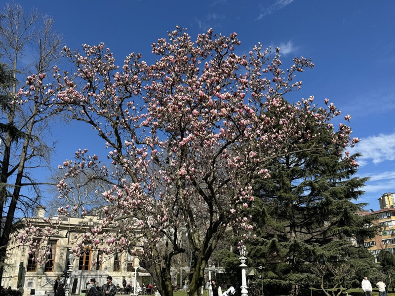 İstanbul'da ilgi odağı oldu! Ziyaret etmenin tam zamanı - Resim: 7