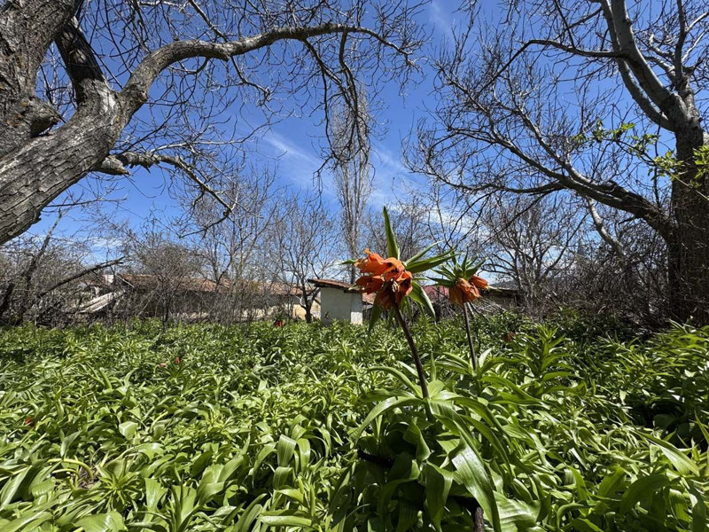 Bulgaristan'dan Denizli'ye göç etti! Tam 147 yıldır... - Resim: 8