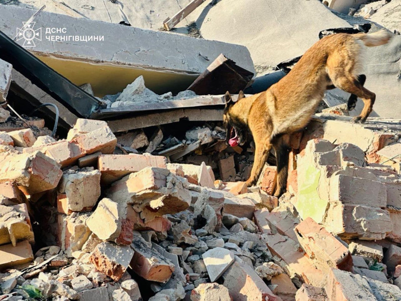 Rus ordusu Ukrayna'nın 'terör eylemlerine' karşı öncü misillemelere başladı - Resim: 7