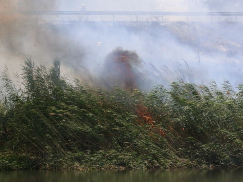 Hatay'da yangın paniği: Dumanlar sardı! - Resim: 2