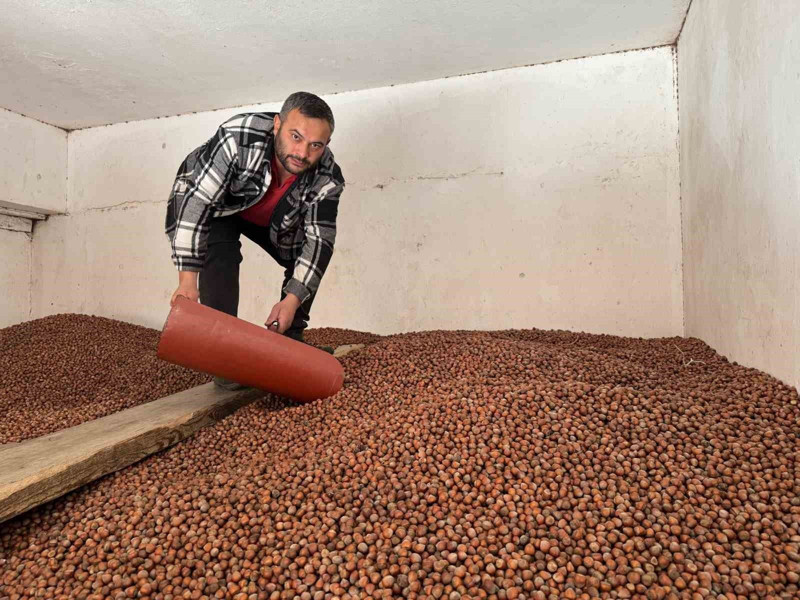 Fındık fiyatları belli oldu! İşte il ve ilçelere göre yeni fiyatlar - Resim: 3