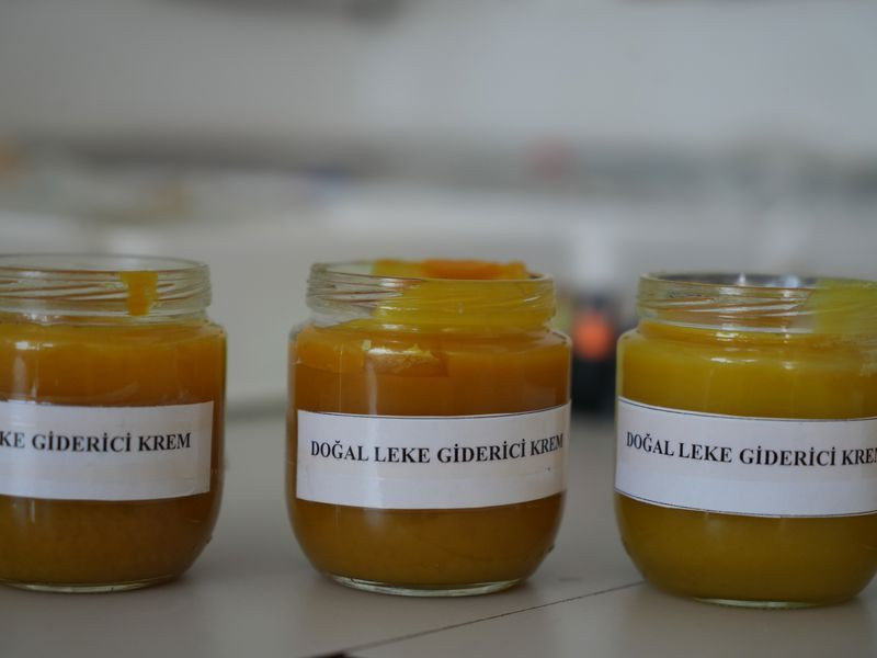 Iğdır Üniversitesi'nde üretildi! Cilt kanserine karşı etkili - Resim: 2